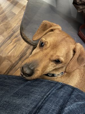   at Szabad Bisztró - Új Hely in Budapest