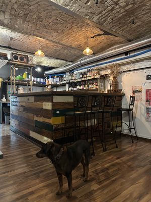   at Szabad Bisztró - Új Hely in Budapest