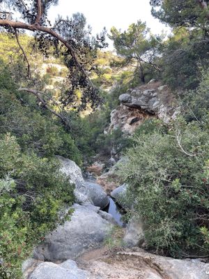 View  at Taverna Piperia in Crete