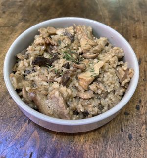 4 mushroom Risotto   at Le Poulpi Place in Grasse