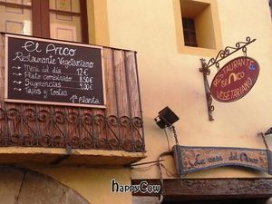 Banners at Casa del Arco in Jaca