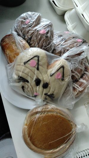  at Distopía Coffee Zone in Mexico City