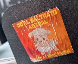  at Distopía Coffee Zone in Mexico City