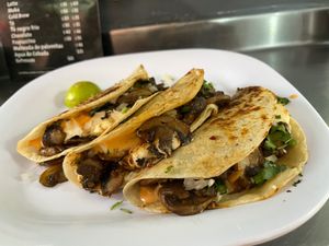 Mushroom quesadillas  at Distopía Coffee Zone in Mexico City