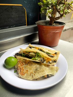 Mushroom quesadillas  at Distopía Coffee Zone in Mexico City