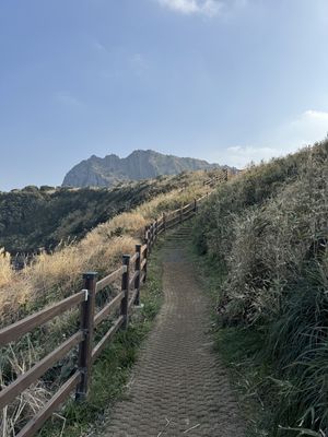   at Greenroof Jeju 꽃담수제버거 in Jeju