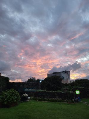  at Greenroof Jeju 꽃담수제버거 in Jeju