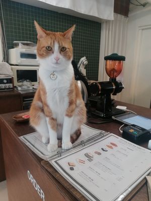  at Mokro Garden - 목로정원 in Seoul