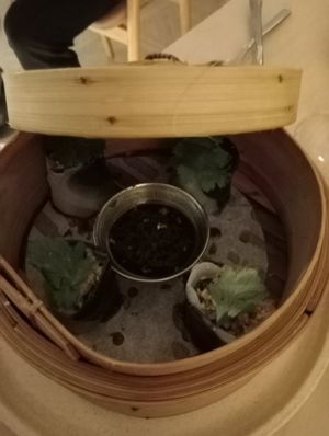 Mushroom dumplings at Light Years in Newcastle