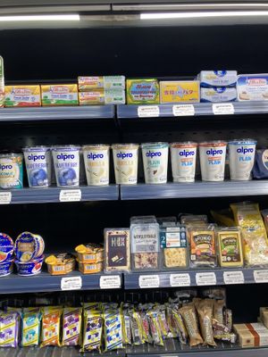   at Anadris in Tashkent