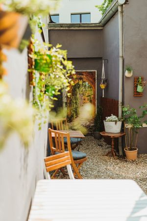 #Veganuary at little green kitchen - Kunibertsviertel in Cologne