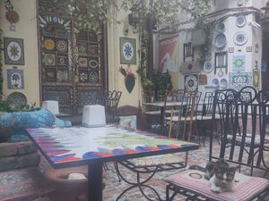 resident cat at Belli Siciliani Restaurant in Bucharest