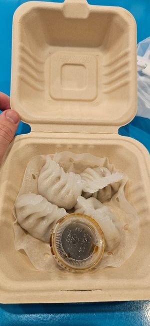 Mooshrooms vegan dumplings at Long Island Dumplings in New York City