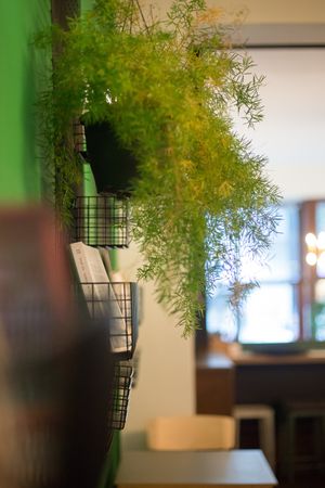  at LEVANTE Bistro in Berlin