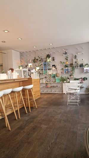  at UuDam   in Vienna