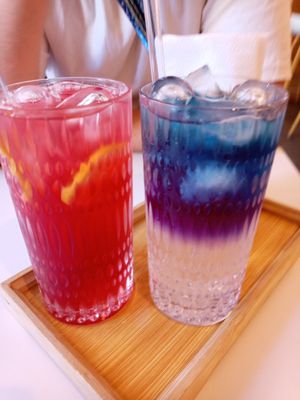  at UuDam   in Vienna