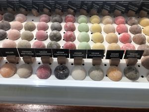   at M'OISHÎ in Abu Dhabi