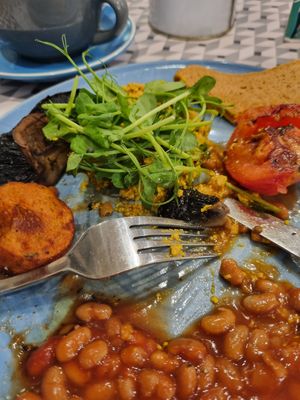  at Wondertree in Auckland