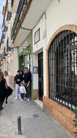 Afuera  at Selva Coffee in Sevilla