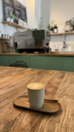 Oat latte  at Selva Coffee in Sevilla