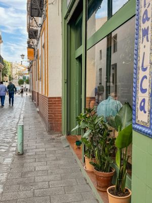 Vista desde la calle at Selva Coffee in Sevilla