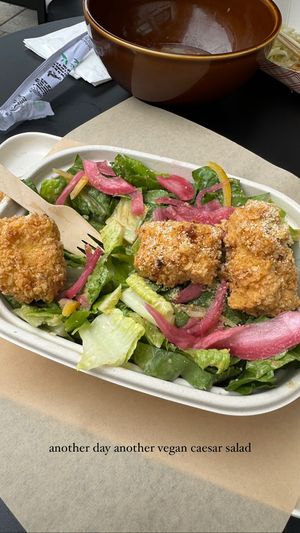   at The Plot Express in Carlsbad