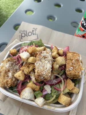   at The Plot Express in Carlsbad