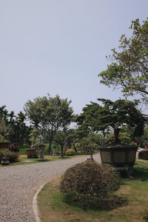 The view look out from the restaurant  at CHIN YUAN - 勤園食堂 in Pingtung