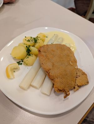 Veganes Schnitzel Wiener Art mit Spargel und Petersilienkartoffeln at Cafeteria Zur Rosen in Jena