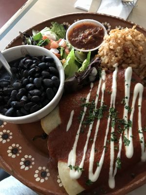 Enchiladas  at Senor Veggie in San Antonio