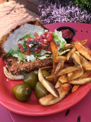 Delicious fried eggplant sandwich  at Senor Veggie in San Antonio