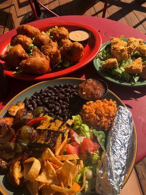 Veggie fajitas, crispy tofu, and corn fritters. Get in my belly. at Senor Veggie in San Antonio