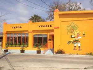 Texas vegan! at Senor Veggie in San Antonio