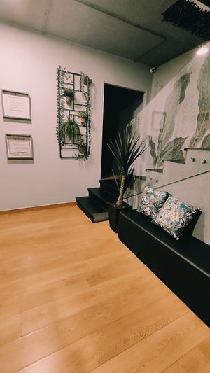  at Divino Grão in Braga