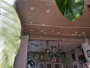 Gemütliche Atmosphären at Café Pfusch in Leipzig