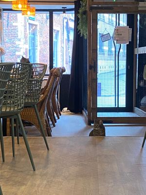  at Poescafé in Leuven