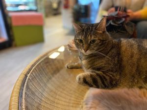  at Poescafé in Leuven