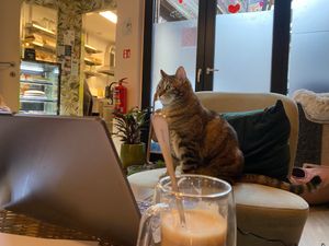  at Poescafé in Leuven