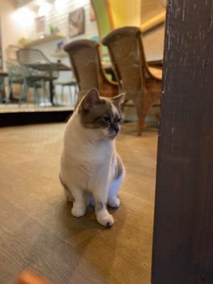  at Poescafé in Leuven