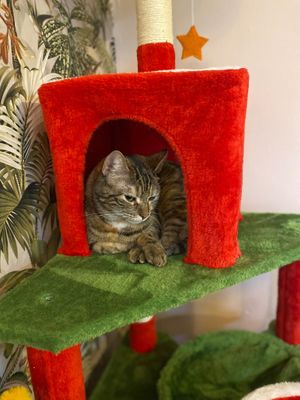  at Poescafé in Leuven