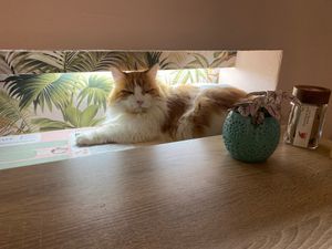  at Poescafé in Leuven