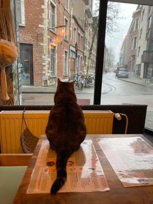  at Poescafé in Leuven