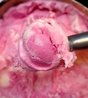 Boysenberry at Yeppoon Gelato and Ice Cream in Yeppoon