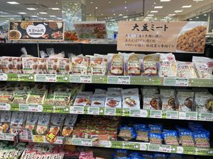 Dried soy meat, other vegan products  at Sanwa in Fujisawa