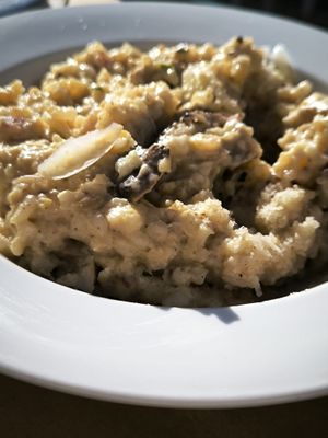 Mushrooms risotto at Cozinha da Mãe Terra in Montemor-o-novo