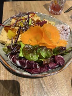 Main with tofu  at To1980 Vegan - Pempelfort in Dusseldorf
