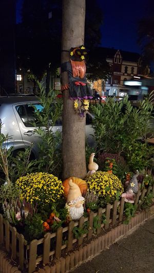  at To1980 Vegan - Pempelfort in Dusseldorf