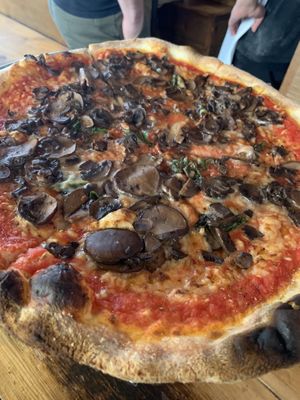 Numu vegan cheese with a nice mix of mushrooms. Great crisp and sauce.   at Pizzeria La Rosa in New Rochelle