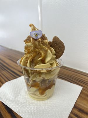 Pumpkin soft serve   at Nectar + Ice in Metairie