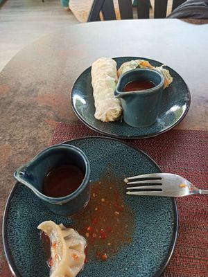 Vegan Gyoza (4 were served) and Spring Rolls at Kenkō in La Marsa